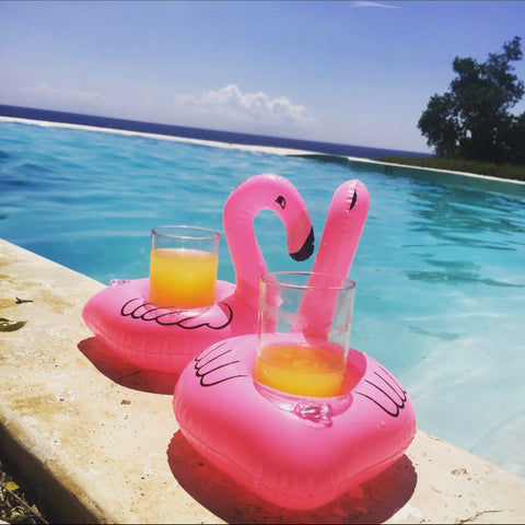 Flamingo Water Party Drink Holder